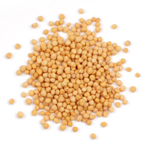 Mustard seeds