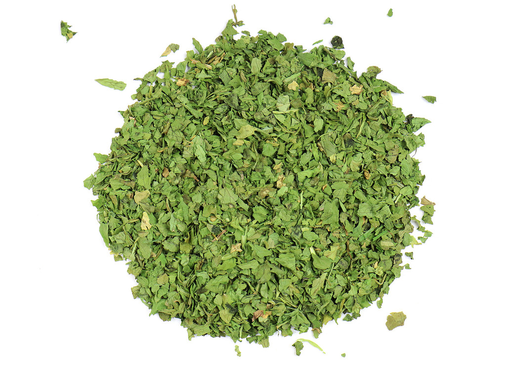cilantro herb