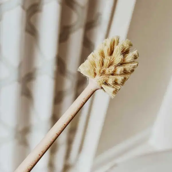 Toilet Brush Spanish
